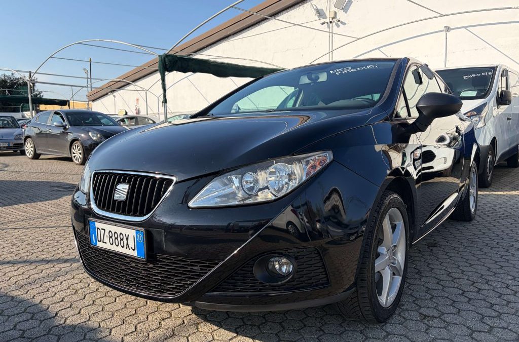 SEAT Ibiza 178235